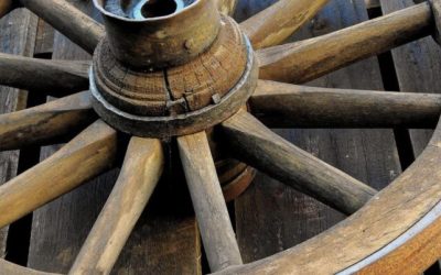 Untitled-design-20-768x402